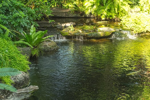 waterfall in tropical garden during spring season.  beautiful landscaping with beautiful plants