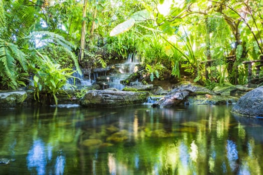 waterfall in tropical garden during spring season.  beautiful landscaping with beautiful plants