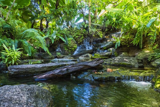 waterfall in tropical garden during spring season.  beautiful landscaping with beautiful plants