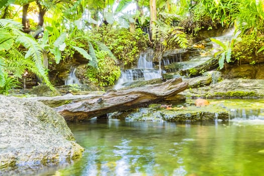 waterfall in tropical garden during spring season.  beautiful landscaping with beautiful plants