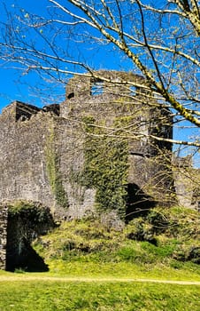 Ruined Dinefwr (Dynevor) Castle overlooking the River Tywi - Llandeilo, Carmarthenshire, Wales, United Kingdom