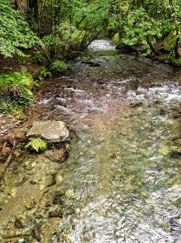River Lyd - Lydford Gorge, Dartmoor National Park, Devon, United Kingdom