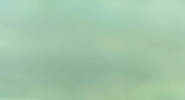 Light Forest Green color Abstracts and backgrounds. Full Frame.