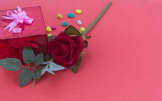 Close up red rose placed on a table near gift box with tied bow ribbon in red background. High angle view. Design for valentine's day, anniversary or holiday celebration decoration.