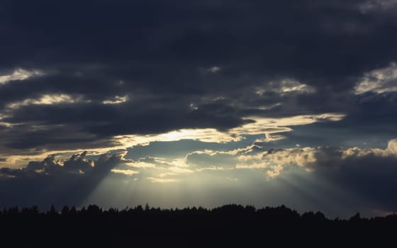 Spectacular beautiful wide cone of sunlight burst from the stormy dramatic sky above the silhouettes of the trees. Golden .rays of light shining through dark clouds. Spiritual concept of hope. Tyndall effect.