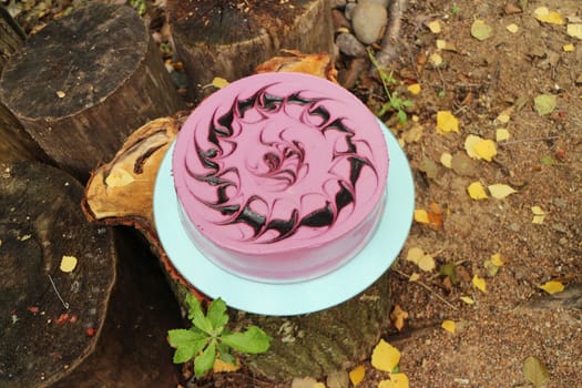 round souffle cake with chocolate pattern from natural products in nature in autumn