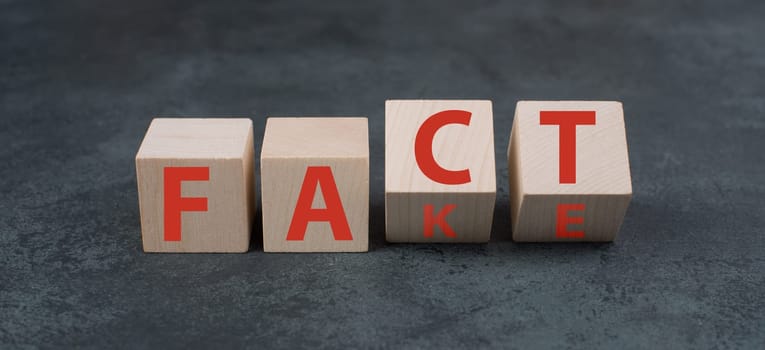 The words fact and fake are standing on wooden blocks in red letters