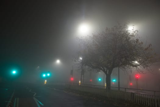 Junction of Clarkehouse road, b6069, to Glossop road, b6547, at night. Tree foreground, and heavy fog environment. Light blooms from the traffic light