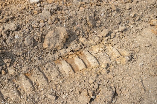Wheel tracks on dirt. It can be used as backgrounds and concepts.