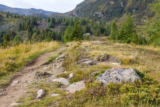 Landscape in Austian Alps, Steiermark in Austria
