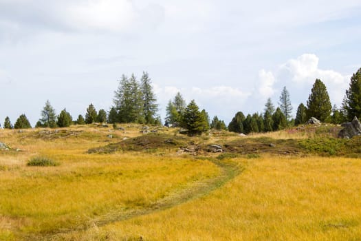 Landscape in Austian Alps, Steiermark in Austria
