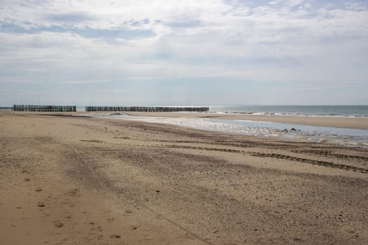 Wave breaker made of wooden stakes on the beach, Haamstede, Zeeland, Netherlands