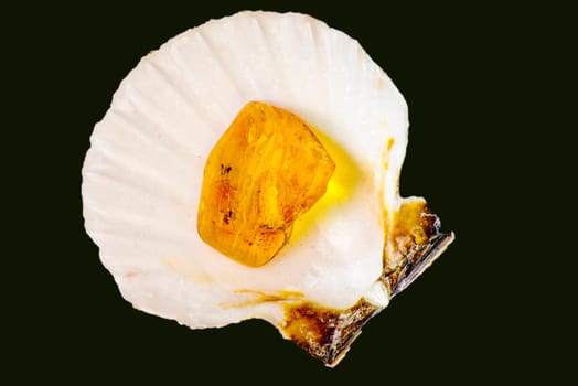 Amber with embedded insect cut out on black