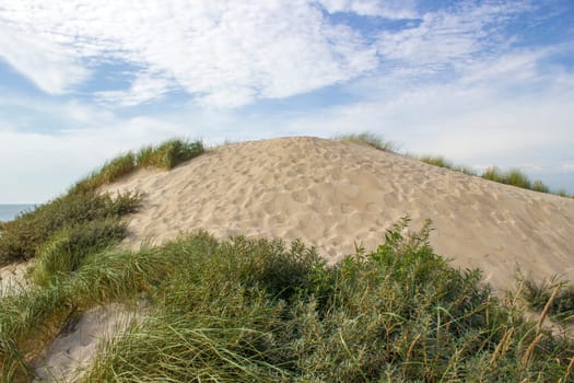 the dunes, Haamstede, Zeeland in the Netherlands