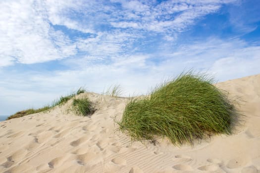 the dunes, Renesse, Zeeland, the Netherlands