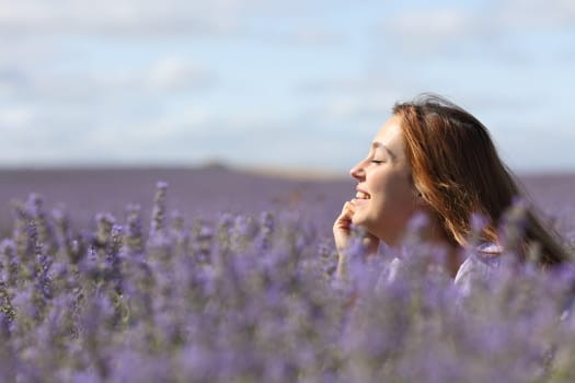 Side view portrait of a happy woman relaxing in the middle of lavender field