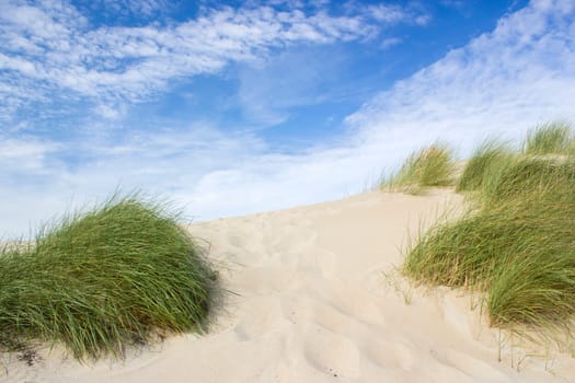 the dunes, Renesse, Zeeland, the Netherlands
