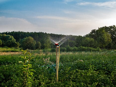 Irrigation system for watering water in agriculture. Irrigation of a farm field. Splashing water. Drops from a spray bottle. Agricultural business. Watering the garden. Garden equipment.