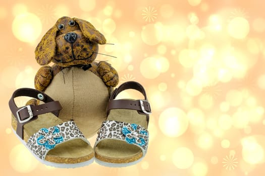 Closeup of a pair of girls sandals adorned with a blue flower are presented by a funny dog on bright abstract background. Business card shoe fashion children. Advertising childrens shoes.