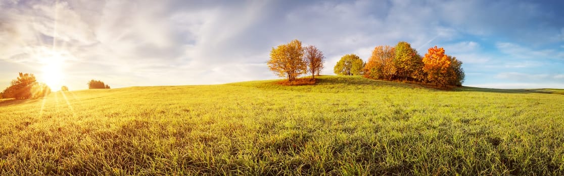 Panoramic view of the autumnal field on the sunny morning. Panorama of meadow with colourful trees on it.