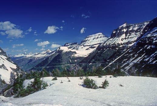 Summer Snow in Jagged Mountains on Logan Pass in Glacier National Park