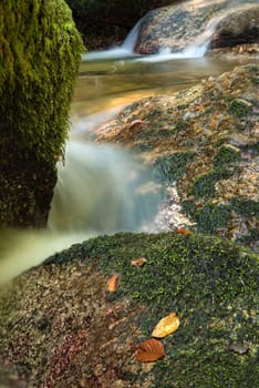 Mountain stream