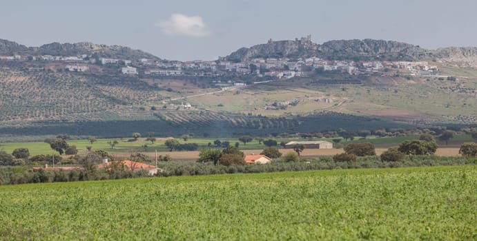 Benquerencia de la Serena hills, Extremadura, Spain. Peas plantation at the forefront