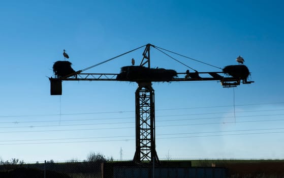 Silhouette of white stork nesting over old construction crane. Symbol of Extremadura Region