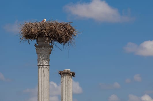 Distyle of Zalamea replica with stork nest on top. Roundabout monument close to Quintana de la Serena, Extremadura, Badajoz, Spain