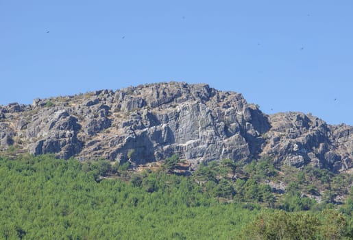 Griffon vultures flying over Sierra Fria granitic hills. Valencia de Alcantara, Caceres, Extremadura, Spain