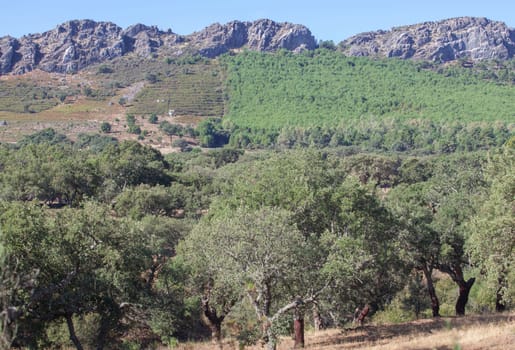 Sierra Fria mountain range granitic hills. Valencia de Alcantara, Caceres, Extremadura, Spain