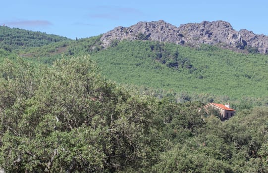 Country house in the middle of the mediterranean forest of Sierra Fria. Valencia de Alcantara, Caceres, Extremadura, Spain