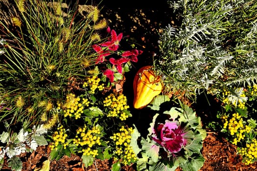 autumnal decorated garden with flowers and squash