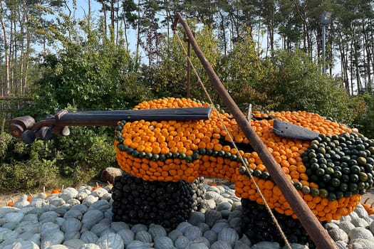 Pumpkin Violin