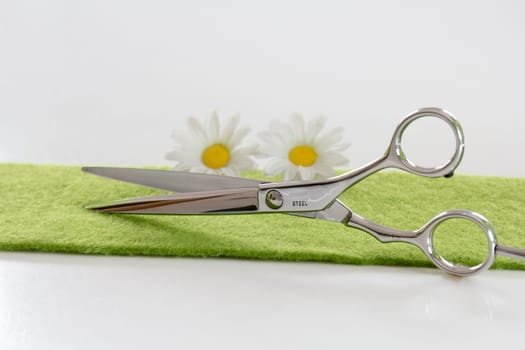 Scissors - perform well