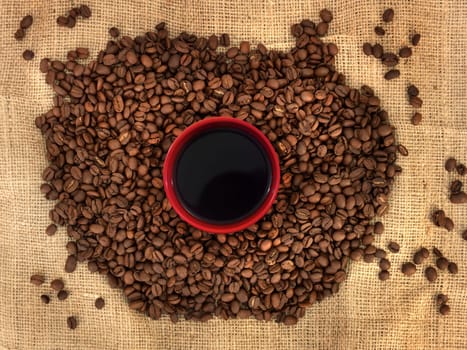 A close up shot of coffee beans
