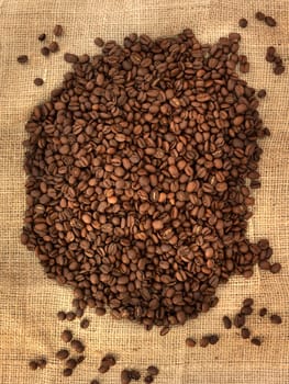 A close up shot of coffee beans