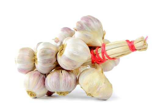 braided garlic on the white background