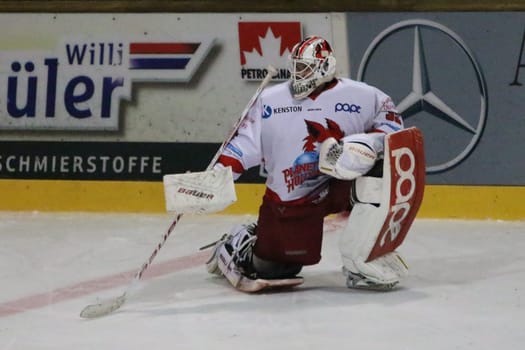 Goalkeeper Fabian Hoenkhaus Mielitz (EHC Freiburg) -.. Playoffs for the German Ice Hockey League (DEL2),1st Final