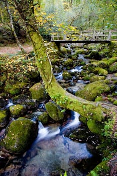river waterfall in the portuguese national park of Geres, in the north of the country