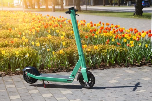 rental electric scooter in sunny city park