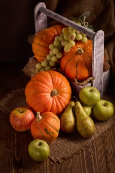 Autumn still life with pumpkins, apples, grape and pears  in a wooden box on dark brown background. Autumn harvest, Happy Thanksgiving