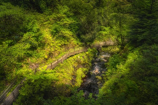 Spectacular wooden boardwalk on the hill overlooking stream in majestic, green and lush Glenariff Forest Park, Antrim, Northern Ireland