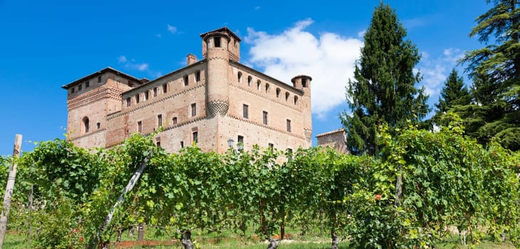Vineyard in Piedmont Region, Italy, with Grinzane Cavour castle in the background. The Langhe is the wine district of Barolo wine.