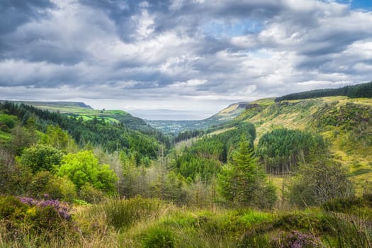 Beautiful green valley with forests and fields. Glenariff Forest Park, the Queen of the Glens, is one of the nine Antrim Glens in Northern Ireland