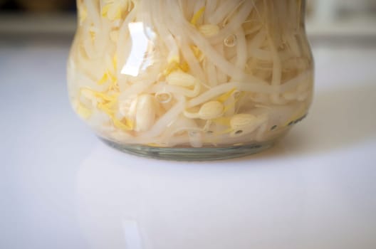 Germinated soybean sprouts glass jar over kitchen countertop. Selective focus