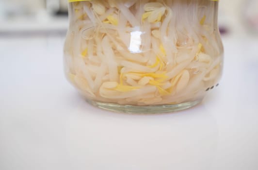 Germinated soybean sprouts glass jar over kitchen countertop. Selective focus