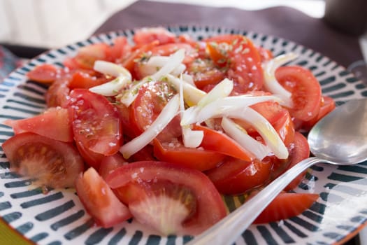 Tomato simple salad with chopped onion, olive oil and oregano. Closeup