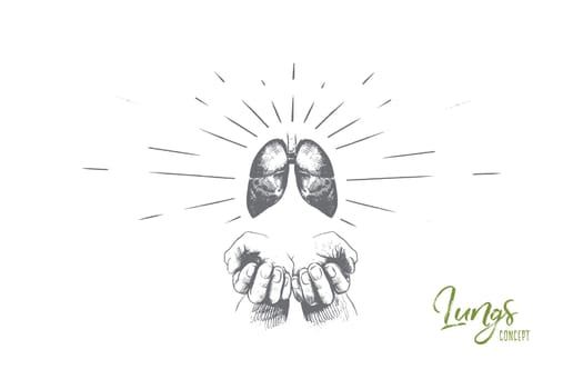 Lungs concept. Hand drawn human lungs in hands. Concept of World Tuberculosis Day isolated vector illustration.