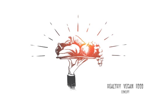 Healthy vegan food concept. Hand drawn plate with tasty and healthy meal. Fruits, vegetables and nuts isolated vector illustration.